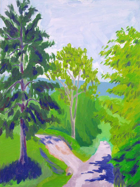 Alto_Pass_Driveway