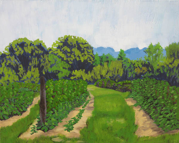 Blueberry_Hill_Rows