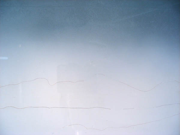 Hair Horizons_detail