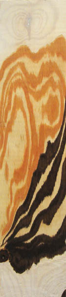 Mt_Pine