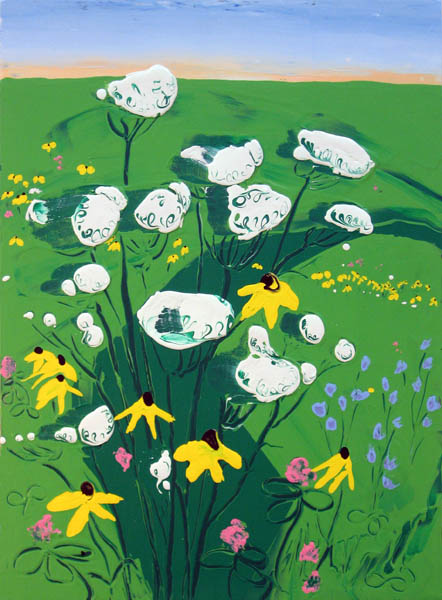 Wildflower_Field