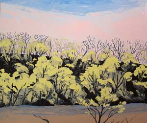 Apple_Creek_Valley