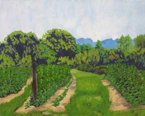 Blueberry_Hill_Rows