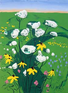 Wildflower_Field