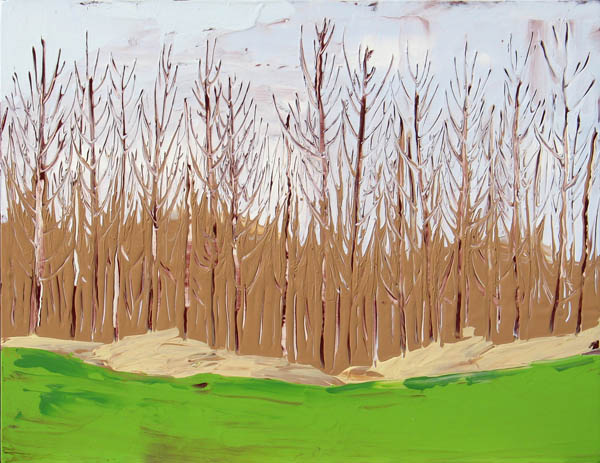 Birch Grove