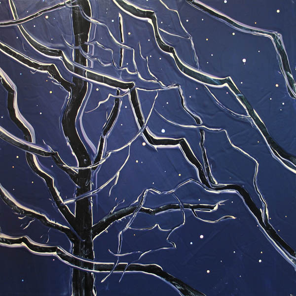 Evening Boughs