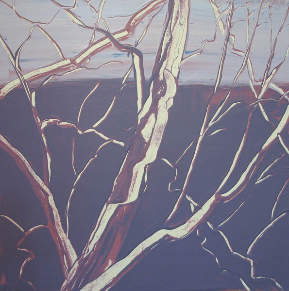 Sycamore