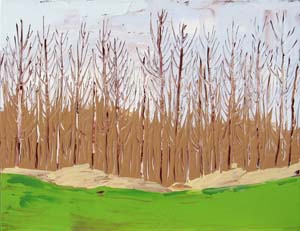 Birch Grove