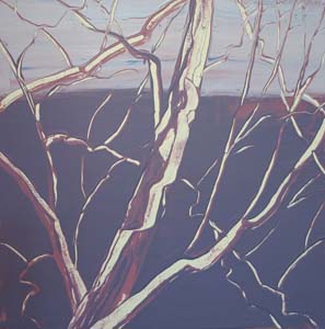 Sycamore