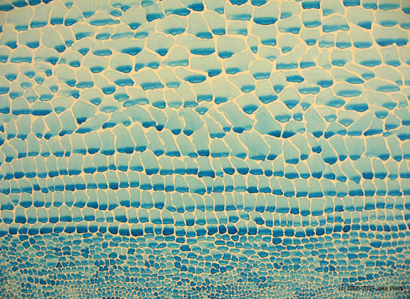05) Blue Breakdown no.3_detail