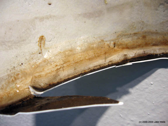29) Butterdish_Landscape_detail