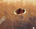 20) Ninja Gaiden_peephole