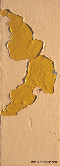 32) Scab