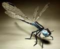 01bug