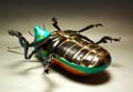 03Jules_bug1