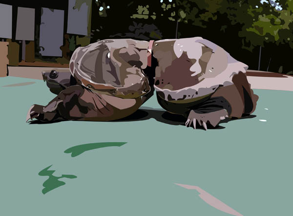 08