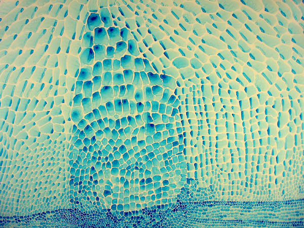 03) Blue Breakdown no.2_detail