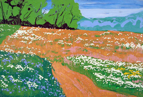 Rye_Creek_Wildflowers