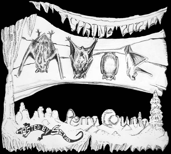 biSEMO shirt_back design