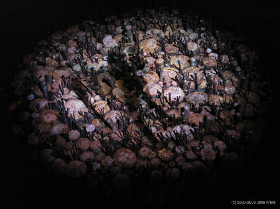 01) Lessons from a Dog