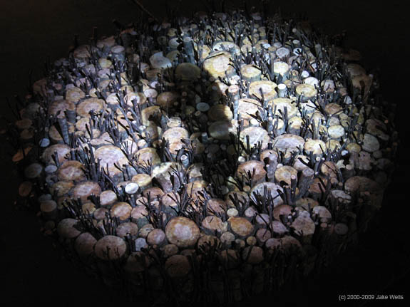 02) Lessons from a Dog1