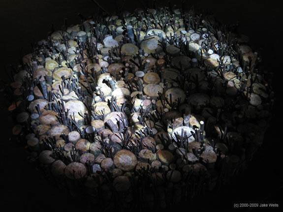 03) Lessons from a Dog2