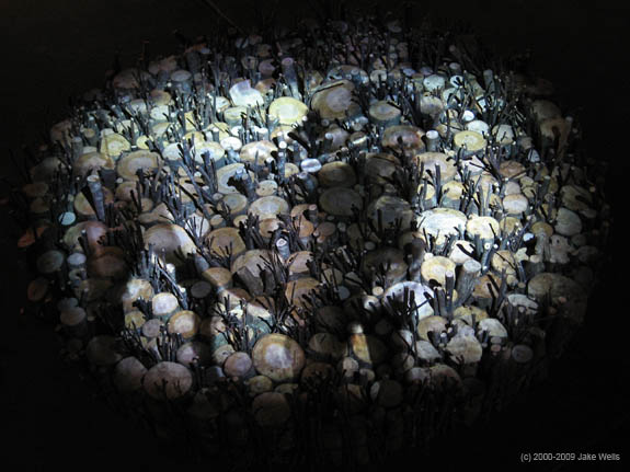 04) Lessons from a Dog3