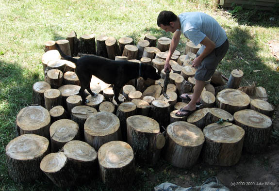 07) Lessons from a Dog_Performance2