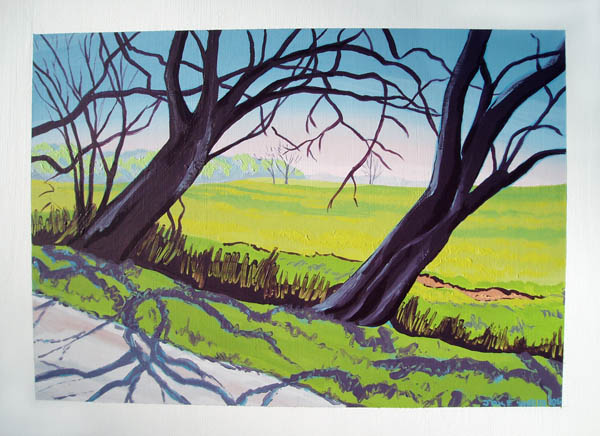 County_Road_203