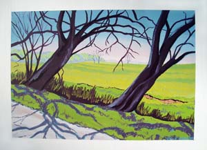 County_Road_203